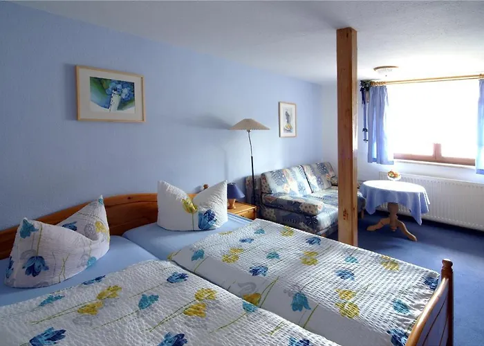 ゲストハウス Landpension Risch イルメナウ